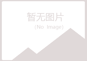 阳江晓夏机械有限公司